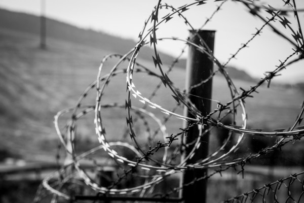 Колючая проволока: история, виды и применение Колючая проволока: история, виды и применение