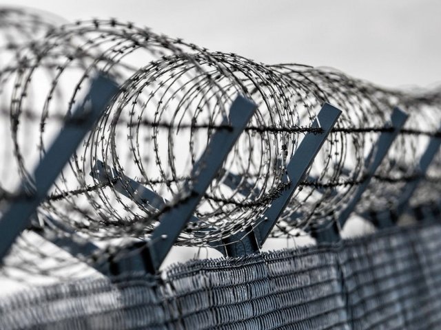 История колючей проволоки: от защиты до символа разделения История колючей проволоки: от защиты до символа разделения
