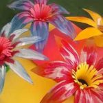 Что можно сделать из пластиковых бутылок