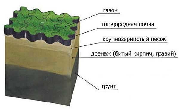 Как сделать газон: виды, подготовка, посадка, уход Как сделать газон: виды, подготовка, посадка, уход