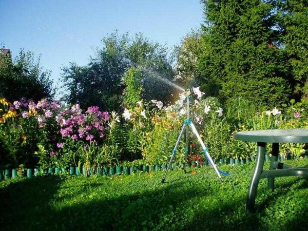 Как выбрать насос для полива огорода Как выбрать насос для полива огорода