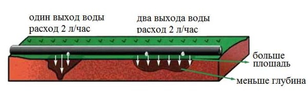 Капельное орошение в теплице и на огороде своими руками Капельное орошение в теплице и на огороде своими руками