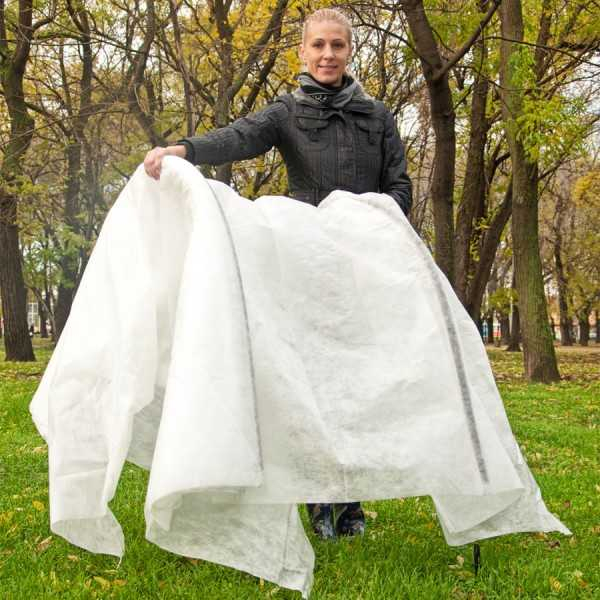 Как сделать парник: 8 конструкций и море идей Как сделать парник: 8 конструкций и море идей