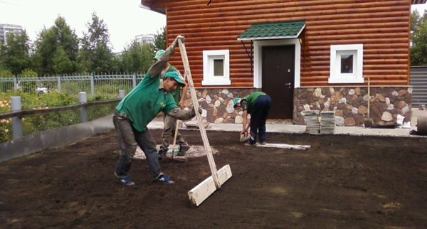Как сделать газон: виды, подготовка, посадка, уход Как сделать газон: виды, подготовка, посадка, уход