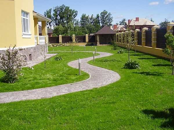 Как сделать газон: виды, подготовка, посадка, уход Как сделать газон: виды, подготовка, посадка, уход