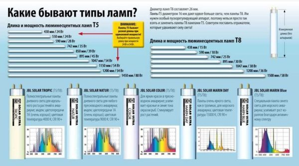 Как сделать свет в аквариуме Как сделать свет в аквариуме