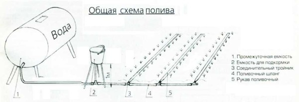 Капельное орошение в теплице и на огороде своими руками Капельное орошение в теплице и на огороде своими руками