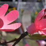 Что можно сделать из пластиковых бутылок