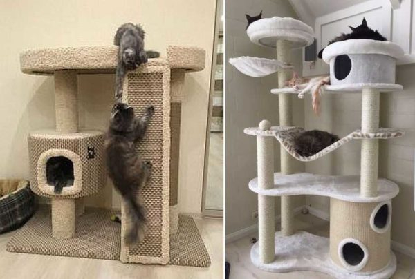 Кошачий домик своими руками Кошачий домик своими руками