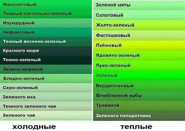Кухни в зеленом цвете: особенности создания итерьера Кухни в зеленом цвете: особенности создания итерьера