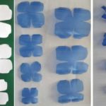 Что можно сделать из пластиковых бутылок