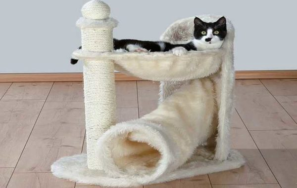 Кошачий домик своими руками Кошачий домик своими руками