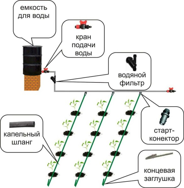 Капельное орошение в теплице и на огороде своими руками Капельное орошение в теплице и на огороде своими руками
