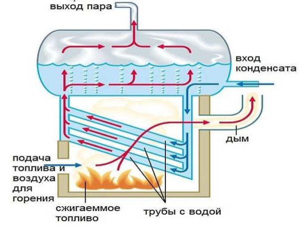 Паровые системы отопления Паровые системы отопления