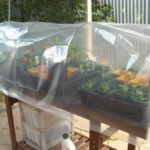 Как сделать парник: 8 конструкций и море идей Как сделать парник: 8 конструкций и море идей