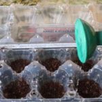 Как сделать парник: 8 конструкций и море идей Как сделать парник: 8 конструкций и море идей