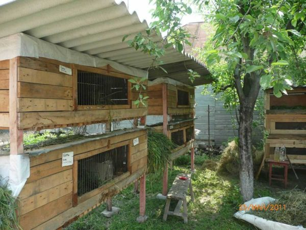 Как сделать крольчатник Как сделать крольчатник