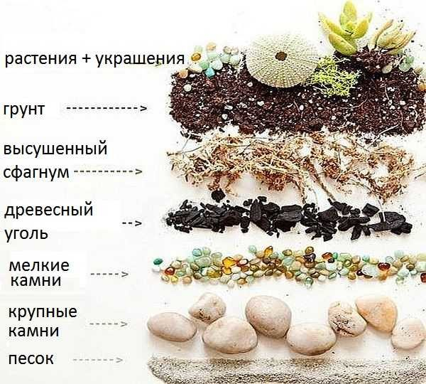 Как сделать флорариум своими руками: ёмкости, грунт, растения, уход Как сделать флорариум своими руками: ёмкости, грунт, растения, уход