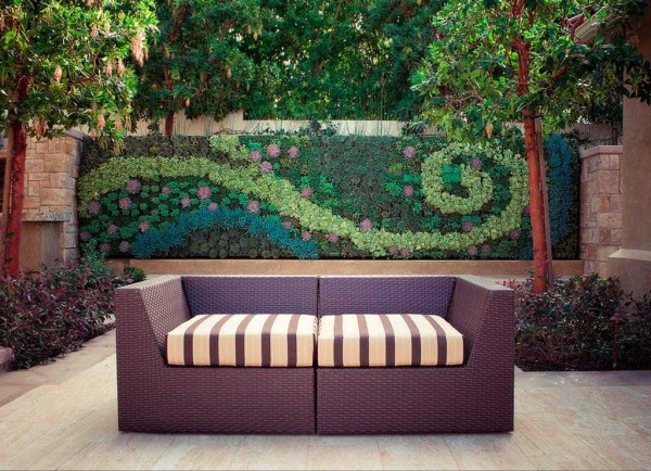 Забор живая изгородь: как вырастить и сформировать Забор живая изгородь: как вырастить и сформировать