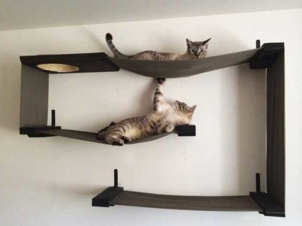 Кошачий домик своими руками Кошачий домик своими руками