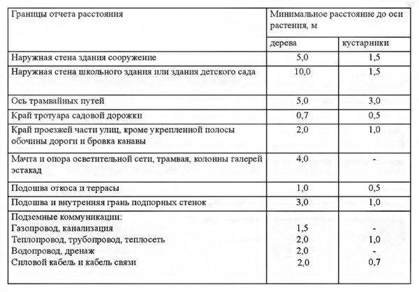 Расстояние высадки деревьев по санитарным правилам Расстояние высадки деревьев по санитарным правилам