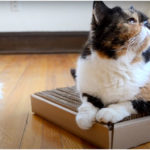 Как сделать когтеточку для кошки своими руками Как сделать когтеточку для кошки своими руками