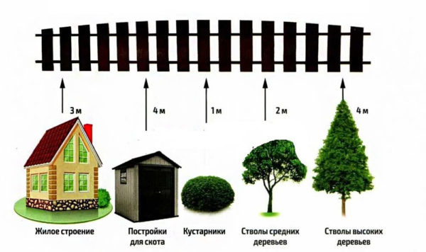 Расстояние высадки деревьев по санитарным правилам Расстояние высадки деревьев по санитарным правилам