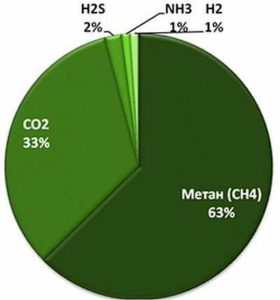 Самостоятельное производство биогаза Самостоятельное производство биогаза