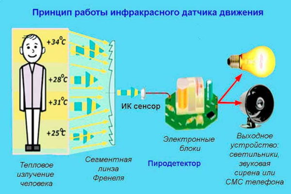 Датчик движения для включения освещения Датчик движения для включения освещения
