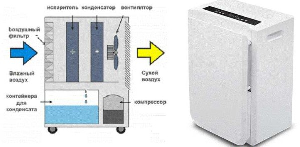 Как высушить погреб: избавиться от сырости, конденсата, плесени Как высушить погреб: избавиться от сырости, конденсата, плесени