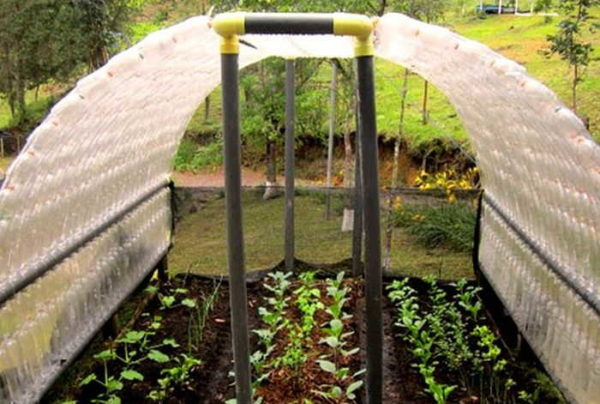 Что можно сделать из пластиковых бутылок