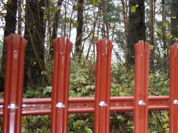 Забор из металлического штакетника (евроштакетника) своими руками Забор из металлического штакетника (евроштакетника) своими руками