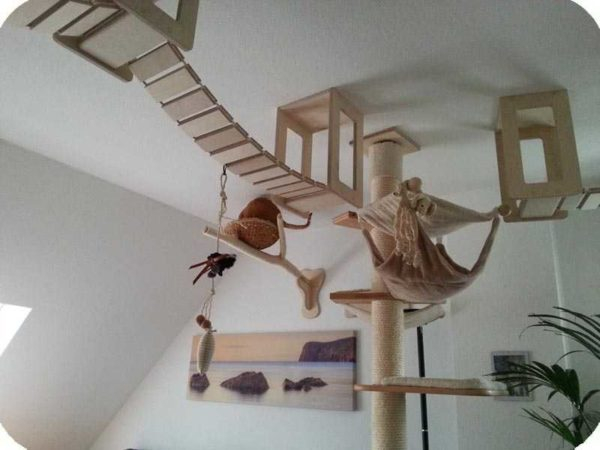 Кошачий домик своими руками Кошачий домик своими руками