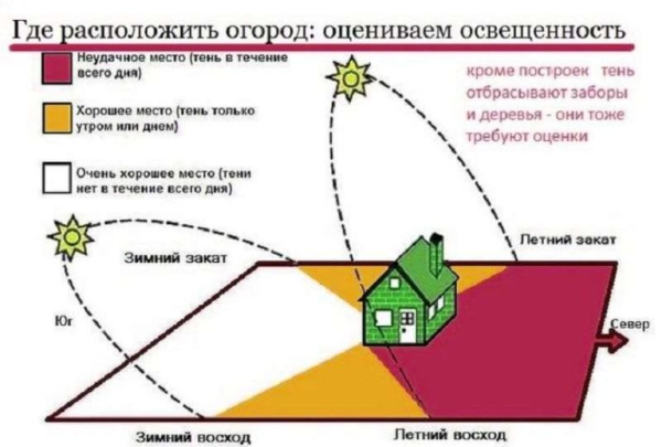 Планировка огорода под посадки — делаем правильно и красиво Планировка огорода под посадки — делаем правильно и красиво