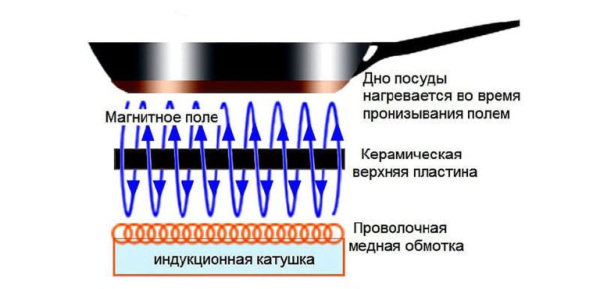 Какая посуда нужна для индукционной плиты, материал изготовления и рейтинг производителей Какая посуда нужна для индукционной плиты, материал изготовления и рейтинг производителей