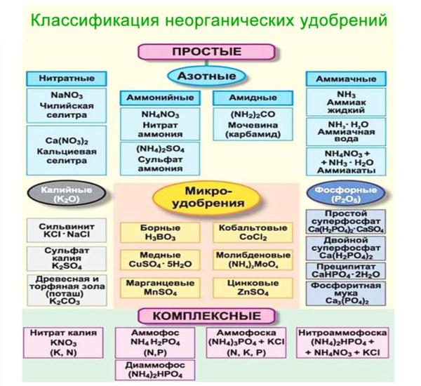 Виды удобрений, способы и правила их внесения, польза и вред применения Виды удобрений, способы и правила их внесения, польза и вред применения