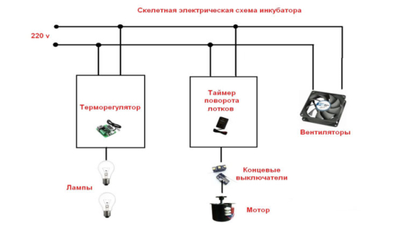 Из чего можно сделать самостоятельно инкубатор в домашних условиях Из чего можно сделать самостоятельно инкубатор в домашних условиях