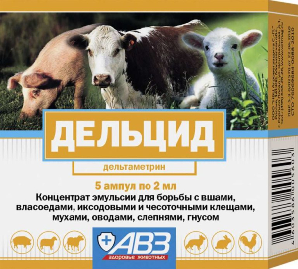 Способы борьбы с клопами Способы борьбы с клопами