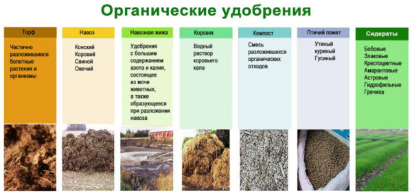 Виды удобрений, способы и правила их внесения, польза и вред применения Виды удобрений, способы и правила их внесения, польза и вред применения