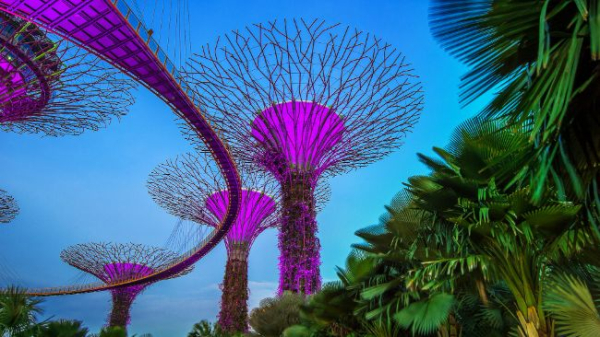 MetaComp начнет распространять RLUSD для трансграничных платежей MetaComp начнет распространять RLUSD для трансграничных платежей