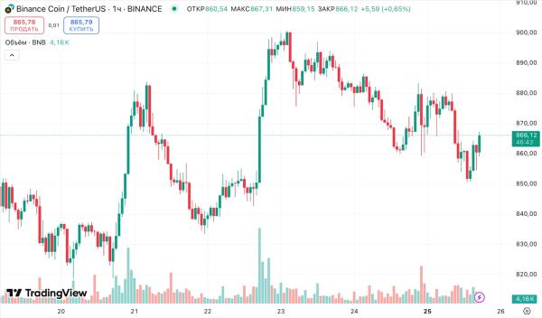 Бывшие топ-менеджеры Bitmain привлекут $1 млрд для инвестиций в BNB Бывшие топ-менеджеры Bitmain привлекут $1 млрд для инвестиций в BNB