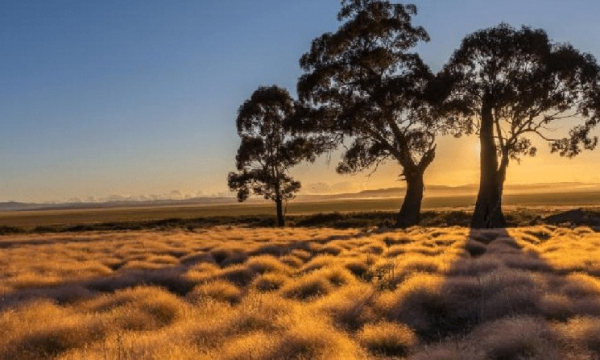 Страны Африки к югу от Сахары - третий по темпам роста внедрения криптовалют регион Страны Африки к югу от Сахары - третий по темпам роста внедрения криптовалют регион