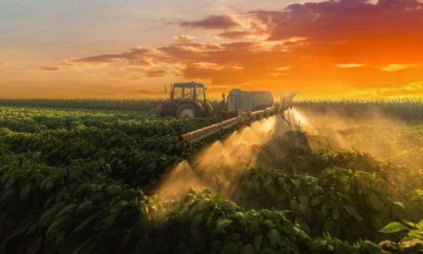 Традиционная экономика уступает место интернет-экономике Традиционная экономика уступает место интернет-экономике