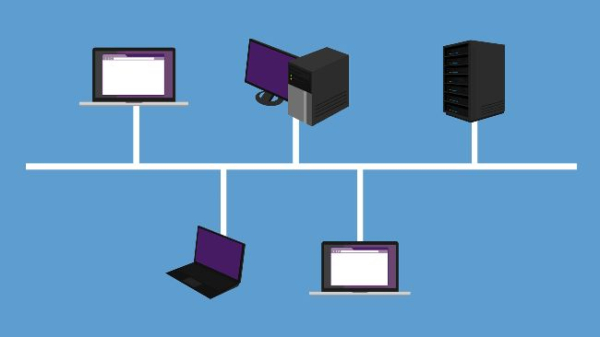 Кэти Вуд ожидает радикального сокращения числа криптовалют Кэти Вуд ожидает радикального сокращения числа криптовалют
