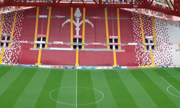 Dogecoin Foundation приобрела контрольный пакет итальянского футбольного клуба