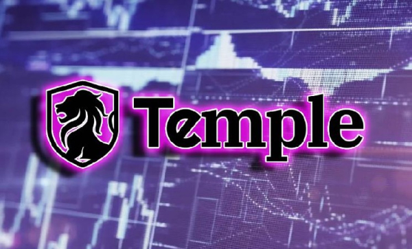 Temple привлекла $5 млн для создания приватной инфраструктуры капитальных рынков Temple привлекла $5 млн для создания приватной инфраструктуры капитальных рынков